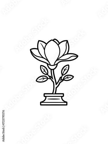 Elegant magnolia flower line art illustration on white background