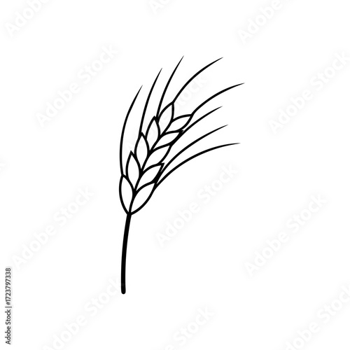 Simple line drawing of a wheat stalk art on transparent background