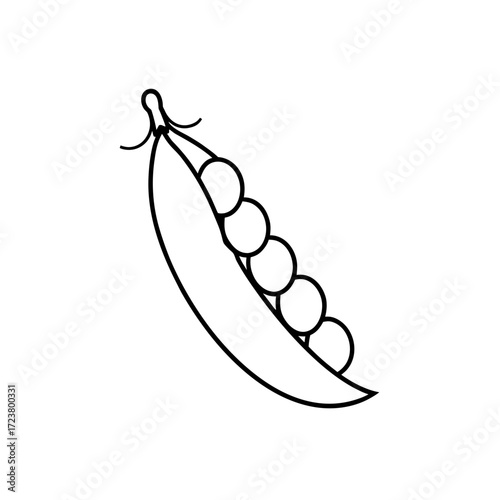 Outline drawing of a pod of peas in shell on transparent background