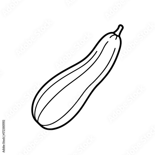 Outline drawing of a single zucchini squash on transparent background