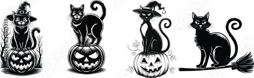 Haunted Cat with Pumpkin Glow.