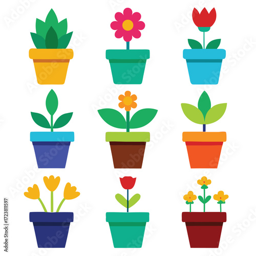 flower in pots