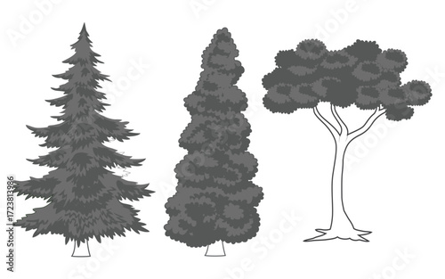 Architectural Drawings, Minimal style cad tree line drawing, Side view, set of section wetland forest outline for landscape design drawing. 