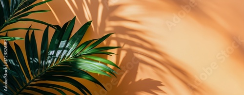 Green Palm Leaves Cast Shadows on a Bright Orange Wall During Daylight Hours.