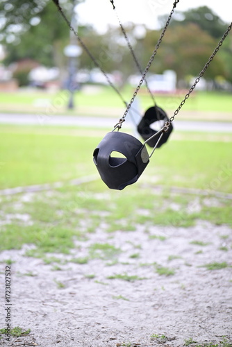 swing in the park