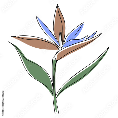 Exotic flower illustration with blue and brown details  
