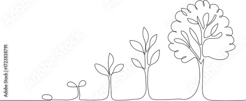 Continuous one line drawing showing tree growth