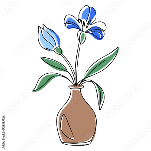 Flowering plant with blue blooms in a ceramic vase  