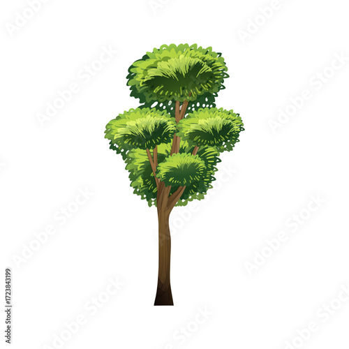 Illustration of a lush green tree with multiple branches and a sturdy brown trunk on white