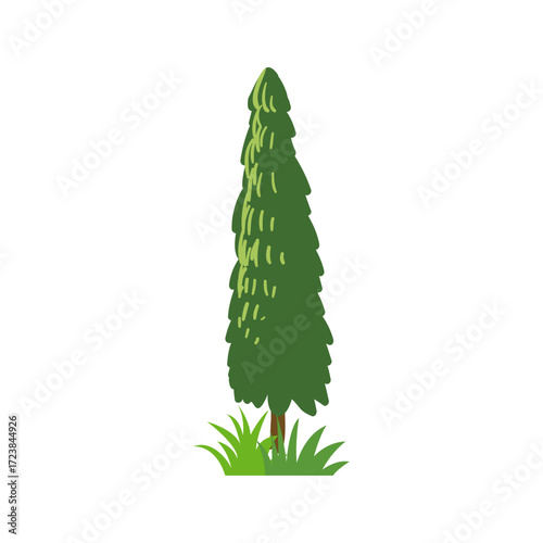 Stylized Italian cypress tree vector illustration. A simple green nature concept design