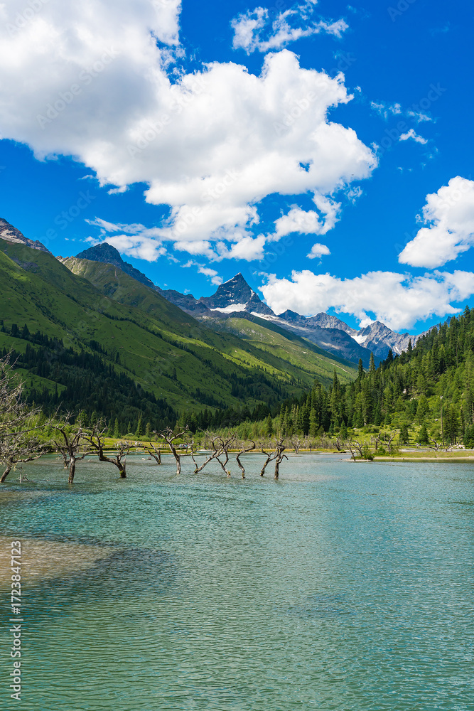 Fototapeta premium Beautiful mountain and lake scenery in Siguniangshan, Chengdu, China.