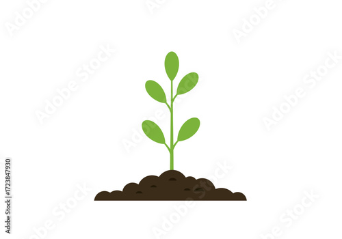 Young Plant Seedling Emerging from Soil.