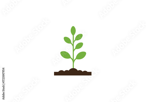 Small Green Plant Growing in Soil.