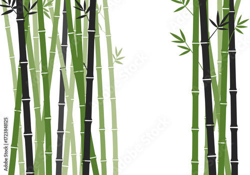 Lush Green Bamboo Forest Background.