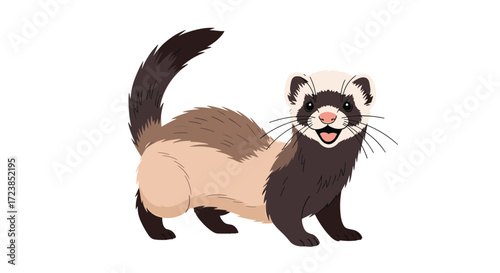 A happy ferret with a bushy tail and open mouth.