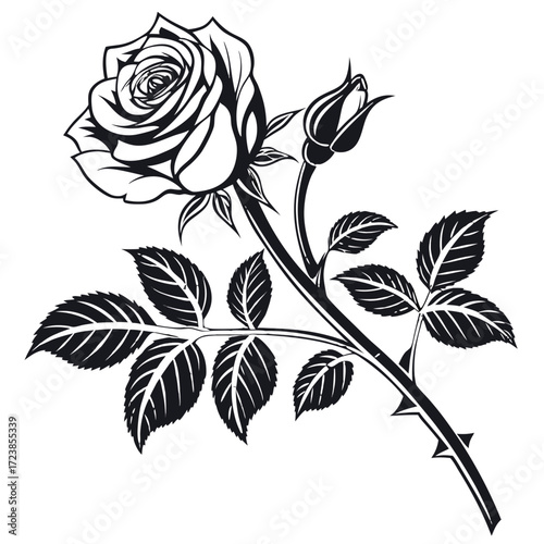 Beautiful rose flower with leaves vector