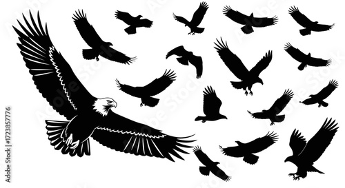 A collection of black silhouette eagles in various flight poses, with a large detailed bald eagle in the foreground, isolated on a white background.