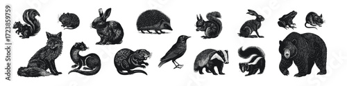 Detailed black silhouette collection of woodland animals including squirrel, rabbit, hedgehog, fox, raccoon, beaver, bear, wolf, wild boar, and birds. Elegant flat vector style with clean contours 
