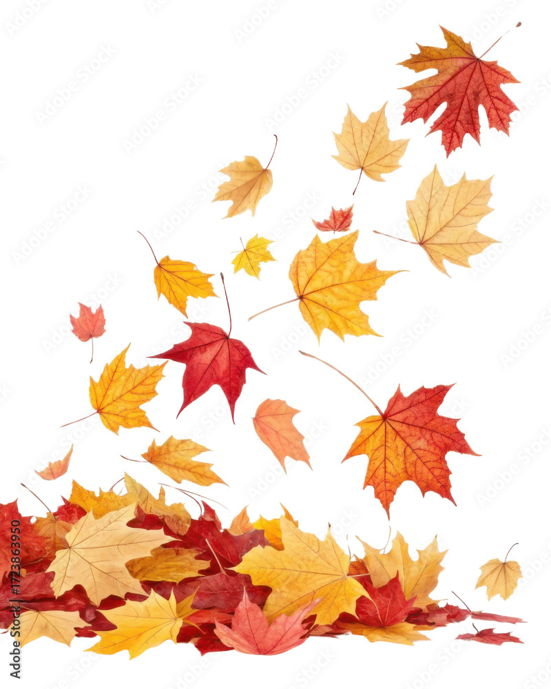 Fototapeta premium Falling autumn leaves create vibrant display of red, orange, and yellow hues, capturing essence of season beauty and change