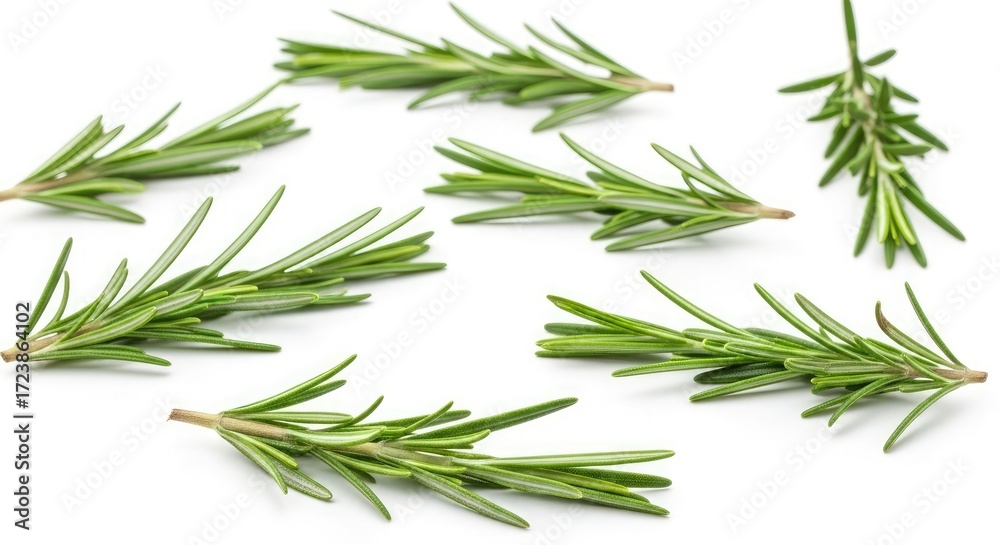 Fototapeta premium Assortment of Fresh Rosemary Sprigs on White Background