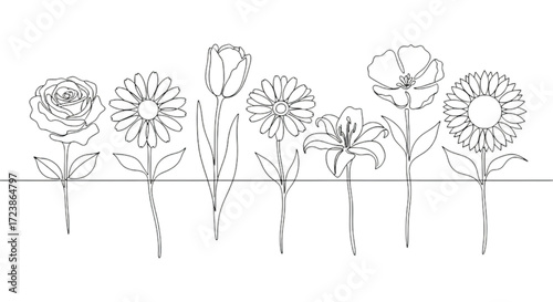 Delicate single line drawing of various blooming flowers, a celebration of nature's beauty in simple form.