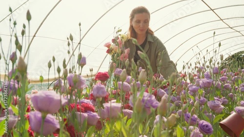 Smiling woman florist small business owner working in greenhouse full of blooming flowers carefully holding bouquet and enjoying sustainable cultivation process lifestyle and agriculture 4K video.