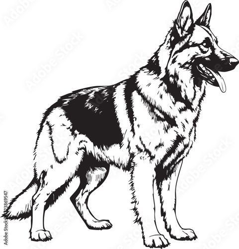 Detailed German Shepherd Dog Vector: Realistic Line Art Illustration of a Working Dog Breed

