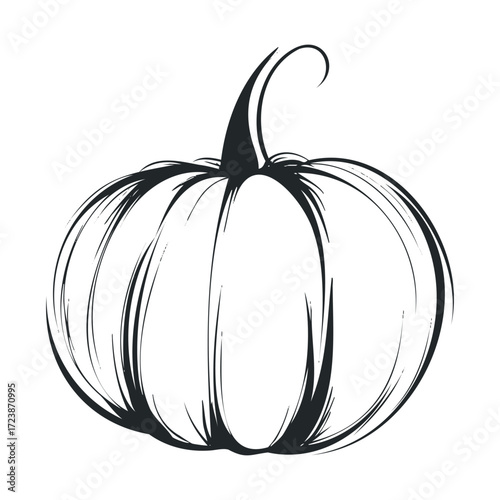 Black and white line sketch of a plump, uncarved autumn squash.