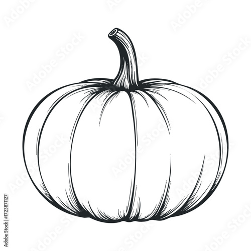 Black and white line sketch of an uncarved autumn squash.