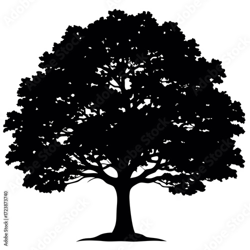 silhouette of a tree isolated on white