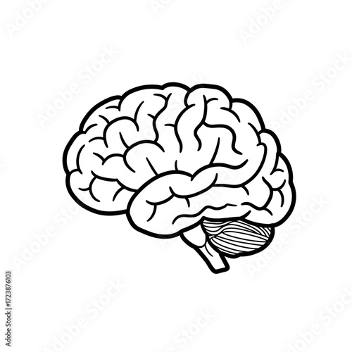 Black and white sketch of a brain illustration