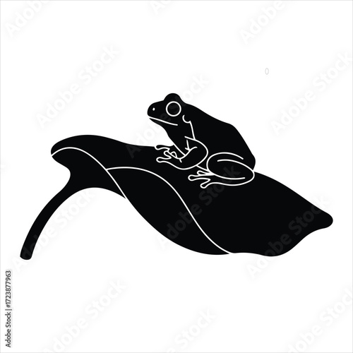 Silhouette of a frog sitting gracefully on a large leaf nature wildlife amphibian artistic representation