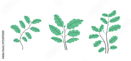 Set of green plant leaves. Design collection of Floral art vector illustration