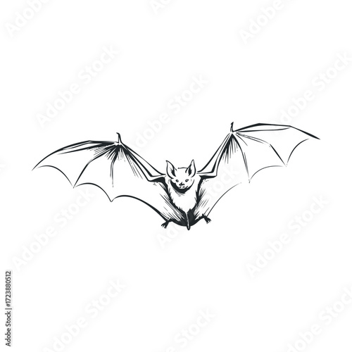 Hand-drawn monochrome bat with fully extended wings.