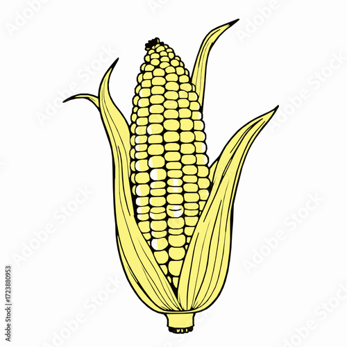 Yellow Corn Cob with Green Husks Illustration maize