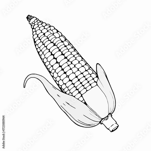 Black and white illustration of a single ear of corn with leaves