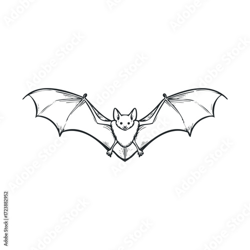 Simple sketch of a bat with its wings fully spread.
