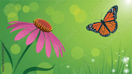 Vector art of monarch butterfly flies near a pink coneflower in a sunny meadow