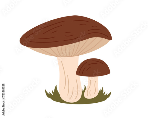Simple mushroom. Two cute mushrooms. Design element. Autumn season. Vector illustration