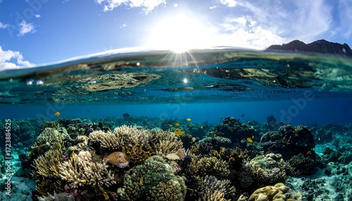 Stunning split-level view the sunlit ocean surface meets a vibrant, underwater coral reef teeming with life