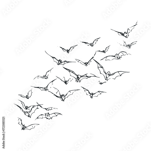 Hand-drawn sketch of a swirling flock of bats in flight.