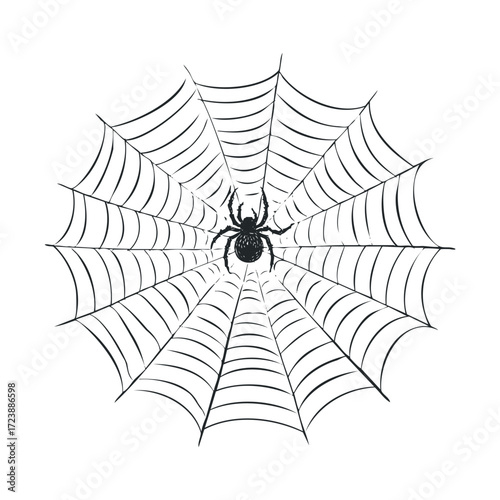Hand-drawn spider on a large, spooky cobweb against a white background.
