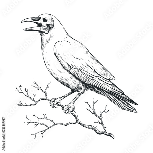Sketch of a crow-skull hybrid perched on a thorny branch.  
