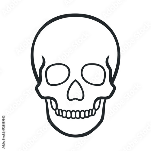 Simple black and white line drawing of a human skull.  