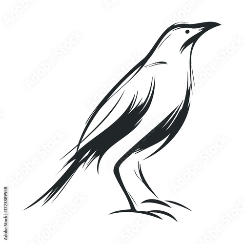 Stylized sketch of a crow or raven standing.