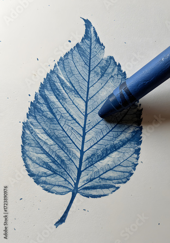 Leaf Rubbing Art Blue Crayon Imprint on White Paper, Botanical Craft, DIY Nature Project.
