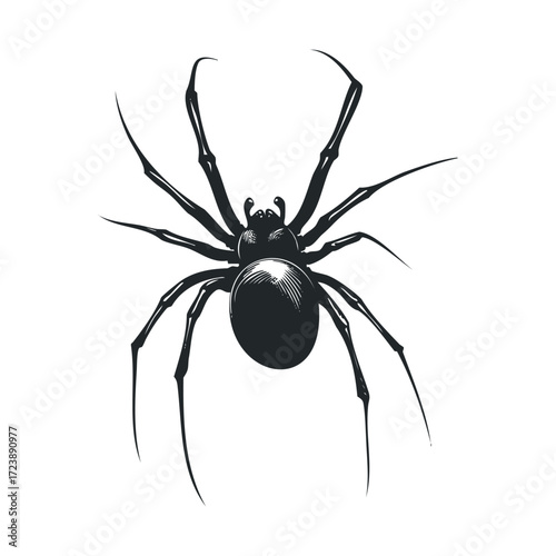 Black silhouette illustration of a spider with long legs.