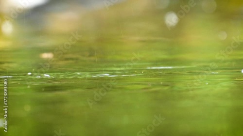 raindrops fall on the water surface of a pond in the forest in slowmotion
