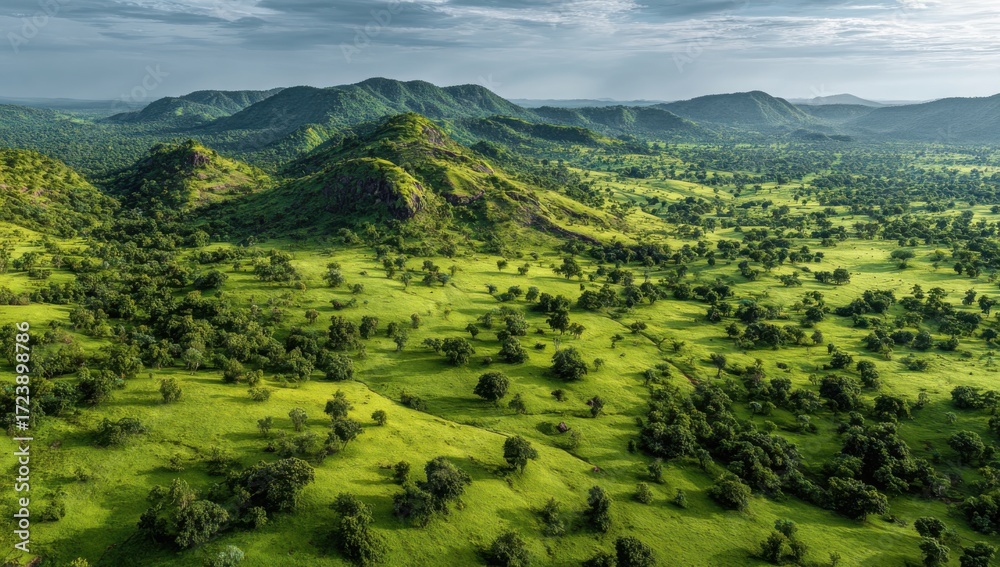 Obraz premium Lush green landscape of rolling hills and savanna