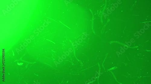 Green Retro Screen Effect with Scratches, Light Leaks, Flicker and Vintage Damage